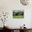 Two African Elephants Greeting, Kruger National Park, South Africa, Africa-Paul Allen-Photographic Print displayed on a wall