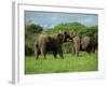 Two African Elephants Greeting, Kruger National Park, South Africa, Africa-Paul Allen-Framed Photographic Print