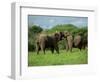 Two African Elephants Greeting, Kruger National Park, South Africa, Africa-Paul Allen-Framed Photographic Print