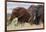 Two African elephants, one of them red for the color of the Tsavo's soil, Tsavo, Kenya.-Sergio Pitamitz-Framed Photographic Print