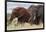 Two African elephants, one of them red for the color of the Tsavo's soil, Tsavo, Kenya.-Sergio Pitamitz-Framed Photographic Print