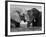 Two African Elephants Playing in River Chobe, Chobe National Park, Botswana-Tony Heald-Framed Photographic Print