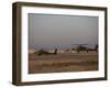 Two AH-64 Apache Helicopters Prepare for Takeoff-Stocktrek Images-Framed Photographic Print