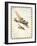 Two Airplanes on Notebook Cover-null-Framed Art Print
