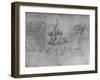 'Two Allegories of Envy', c1480 (1945)-Leonardo Da Vinci-Framed Giclee Print