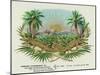 Two Alligators in a Tobacco Field Brand Cigar Box Label-Lantern Press-Mounted Art Print