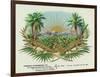 Two Alligators in a Tobacco Field Brand Cigar Box Label-Lantern Press-Framed Art Print