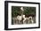 Two Alpacas-gigra-Framed Photographic Print