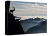 Two Alpine Ibex Dominate from Above the Spectacular View of the Italian Alps.-ClickAlps-Stretched Canvas