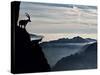 Two Alpine Ibex Dominate from Above the Spectacular View of the Italian Alps.-ClickAlps-Stretched Canvas