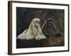 Two American Cockers-Solveiga-Framed Giclee Print