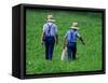 Two Amish Boys Walk with Their Golf Clubs Through a Field of Soy Beans-null-Framed Stretched Canvas