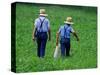 Two Amish Boys Walk with Their Golf Clubs Through a Field of Soy Beans-null-Stretched Canvas