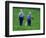 Two Amish Boys Walk with Their Golf Clubs Through a Field of Soy Beans-null-Framed Photographic Print