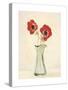 Two Anemones - special-Amy Melious-Stretched Canvas