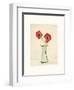 Two Anemones-Amy Melious-Framed Art Print