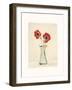 Two Anemones-Amy Melious-Framed Art Print