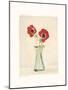 Two Anemones-Amy Melious-Mounted Art Print