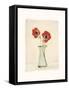 Two Anemones-Amy Melious-Framed Stretched Canvas