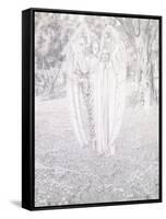 Two Angels, 1904-Carlos Schwabe-Framed Stretched Canvas