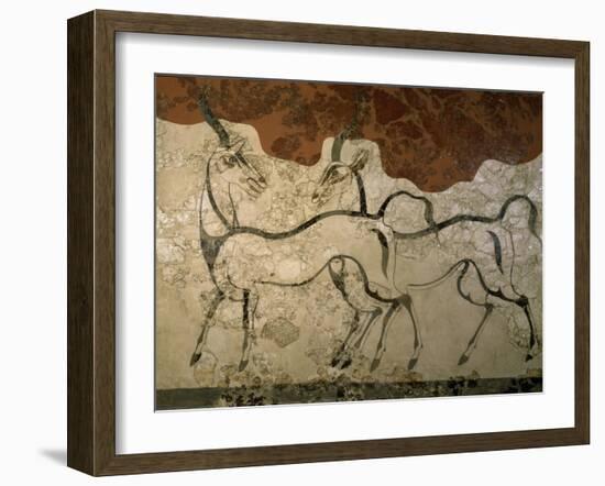 Two Antilopes, Minoan Fresco-null-Framed Giclee Print