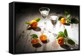 Two Antique Liqueur Glasses with Orange Liqueur and Small Oranges on White Wooden Table-Jana Ihle-Framed Stretched Canvas