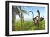 Two Apatosaurus Dinosaurs in a Lush Cretaceous Jungle-null-Framed Premium Giclee Print