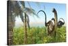 Two Apatosaurus Dinosaurs in a Lush Cretaceous Jungle-null-Stretched Canvas