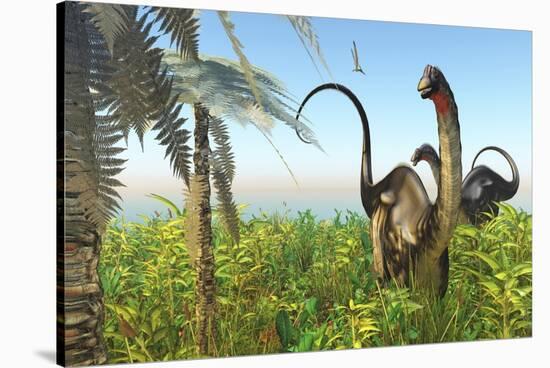 Two Apatosaurus Dinosaurs in a Lush Cretaceous Jungle-null-Stretched Canvas