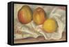 Two Apples and a Lemon (Deux Pommes et un Citron)-Pierre-Auguste Renoir-Framed Stretched Canvas