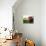 Two Apples-Gustavo Andrade-Stretched Canvas displayed on a wall