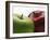 Two Apples-Gustavo Andrade-Framed Photographic Print