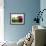 Two Apples-Gustavo Andrade-Framed Photographic Print displayed on a wall