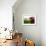 Two Apples-Gustavo Andrade-Framed Photographic Print displayed on a wall