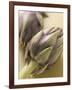 Two Artichokes-Eising Studio - Food Photo and Video-Framed Photographic Print