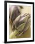 Two Artichokes-Eising Studio - Food Photo and Video-Framed Photographic Print