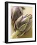 Two Artichokes-Eising Studio - Food Photo and Video-Framed Photographic Print