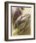 Two Artichokes-Eising Studio - Food Photo and Video-Framed Photographic Print