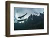 Two Atlantic salmon silhouetted against sky, Gaspe Peninsula, Quebec, Canada-Nick Hawkins-Framed Photographic Print