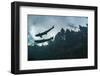 Two Atlantic salmon silhouetted against sky, Gaspe Peninsula, Quebec, Canada-Nick Hawkins-Framed Photographic Print