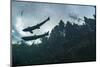 Two Atlantic salmon silhouetted against sky, Gaspe Peninsula, Quebec, Canada-Nick Hawkins-Mounted Photographic Print