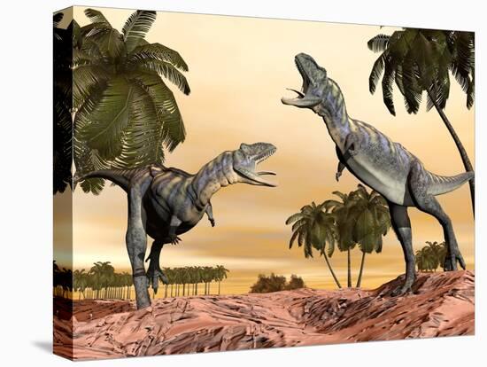 Two Aucasaurus Dinosaurs Fighting in Desert-null-Stretched Canvas