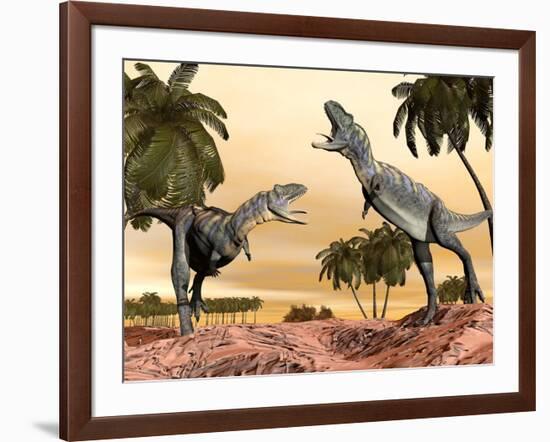 Two Aucasaurus Dinosaurs Fighting in Desert-null-Framed Art Print