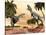 Two Aucasaurus Dinosaurs Fighting in Desert-null-Stretched Canvas