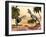 Two Aucasaurus Dinosaurs Fighting in Desert-null-Framed Art Print