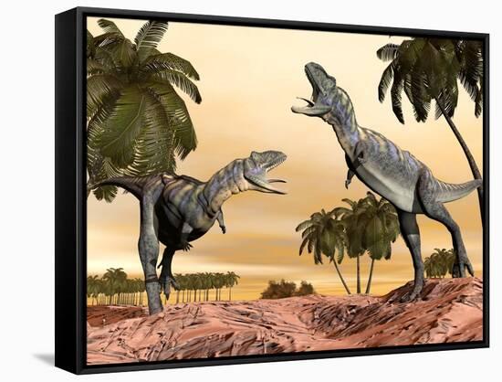 Two Aucasaurus Dinosaurs Fighting in Desert-null-Framed Stretched Canvas