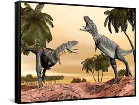 Two Aucasaurus Dinosaurs Fighting in Desert-null-Framed Stretched Canvas