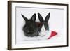 Two Baby Dutch X Lionhead Rabbits in a Father Christmas Hat-Mark Taylor-Framed Photographic Print