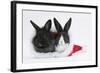Two Baby Dutch X Lionhead Rabbits in a Father Christmas Hat-Mark Taylor-Framed Photographic Print