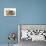 Two Baby Guinea Pigs-Mark Taylor-Stretched Canvas displayed on a wall
